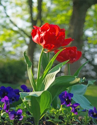 Beautiful Red Peonies Paint By Numbers