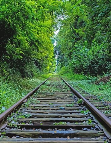 Green Train Railway View Paint By Numbers