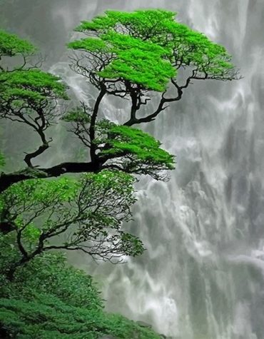 Majestic Trees and Waterfalls Paint By Numbers
