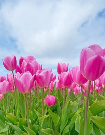 Pink Tulips in Spring Paint By Numbers