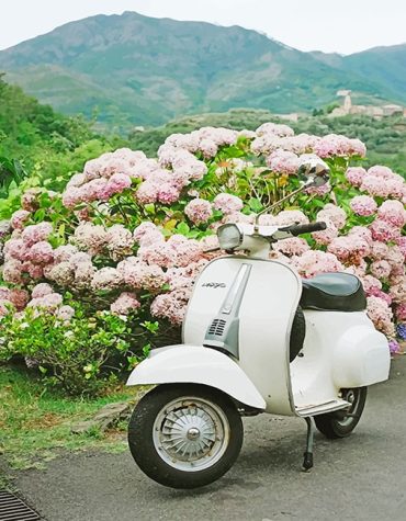 White Vespa Flower Scooter Paint By Numbers