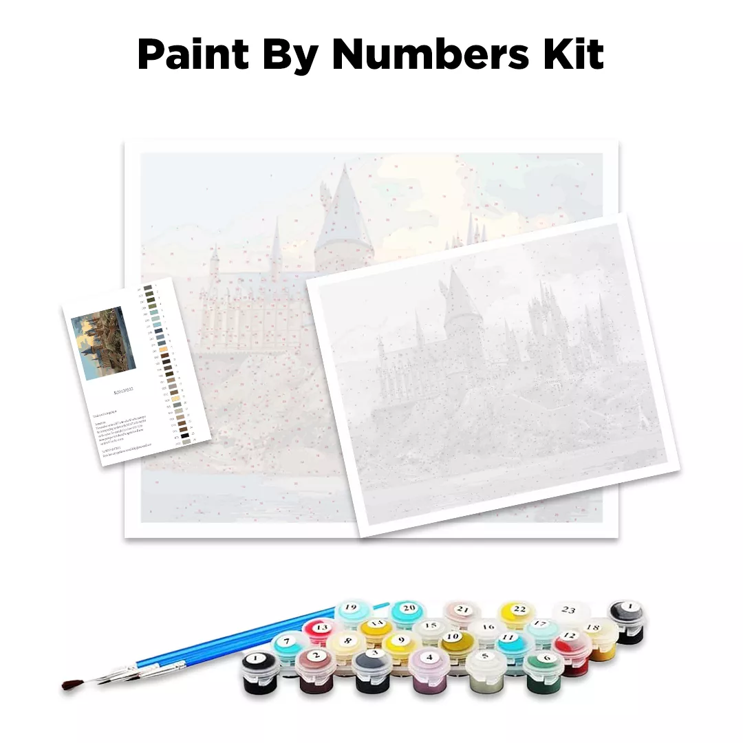 John Cena Wrestling Paint By Numbers Kit