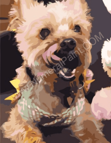 Custom Pet Paint By Numbers