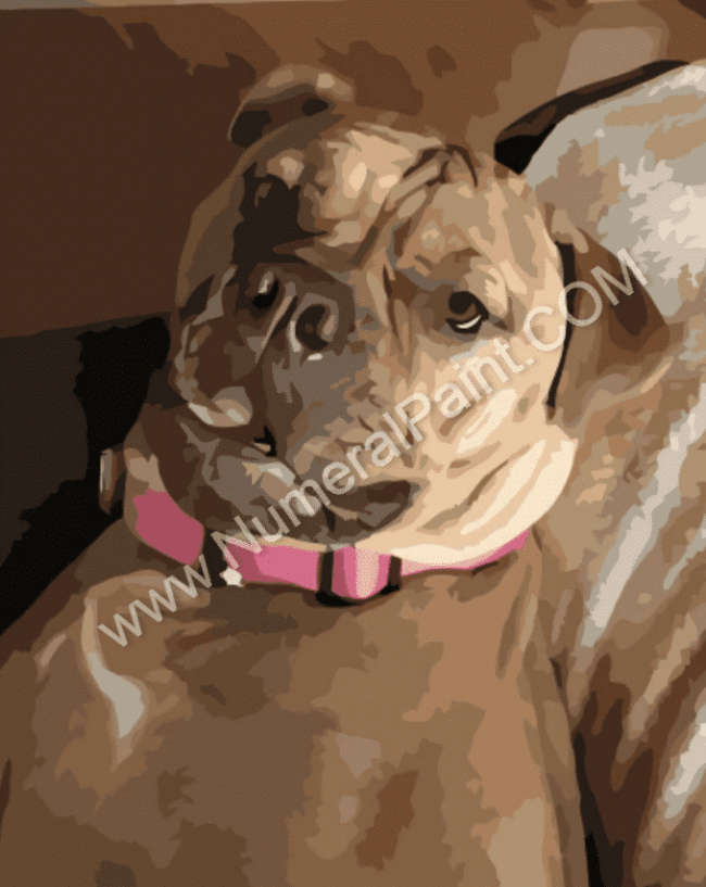 Custom Dog Portrait Paint By Numbers