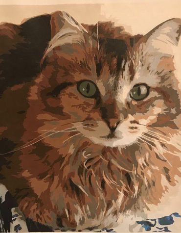 Create Your Own Cat Paint By Numbers