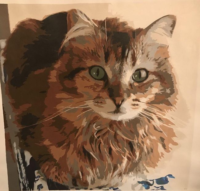 Create Your Own Cat Paint By Numbers