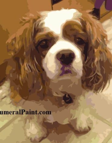 Custom Dog Paint By Numbers