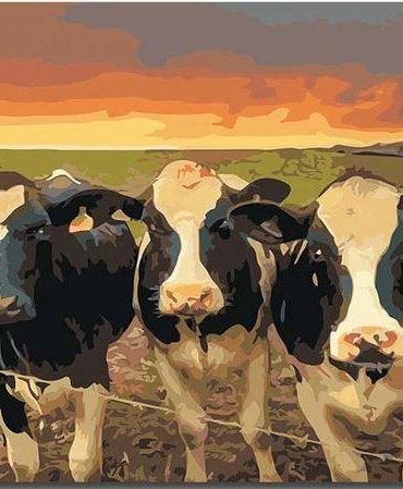 A Herd of Cows at Sunset Paint By Numbers