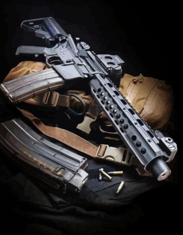 Customized AR 15 Paint By Numbers