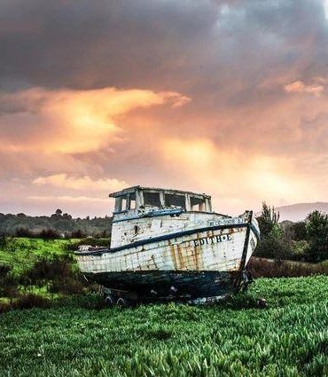 Lonely Boat in Grassland Paint By Numbers