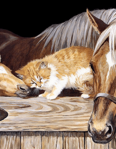 Abstract Horse Stallion Paint By Numbers