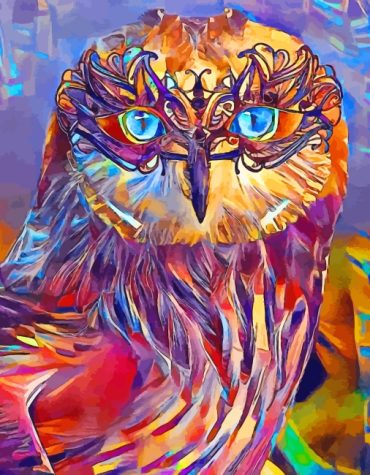 Colorful Owl Birds Paint By Numbers