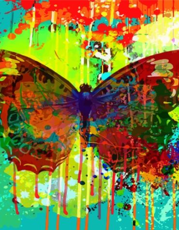 Colorful Splash Butterfly Paint By Numbers