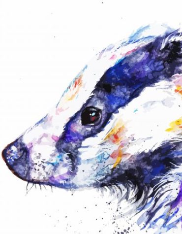 Colorful Badger With Bees Paint By Numbers