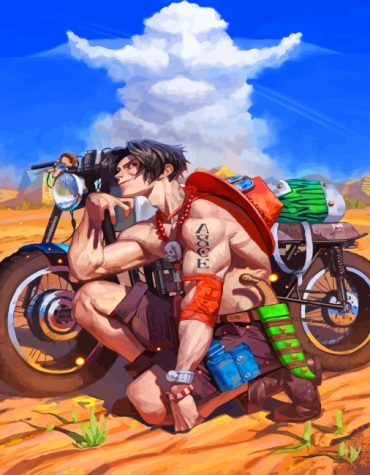 Ace in One Piece Paint By Numbers