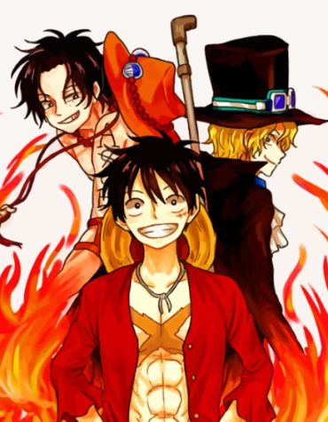 One Piece Luffy Ace Paint By Numbers