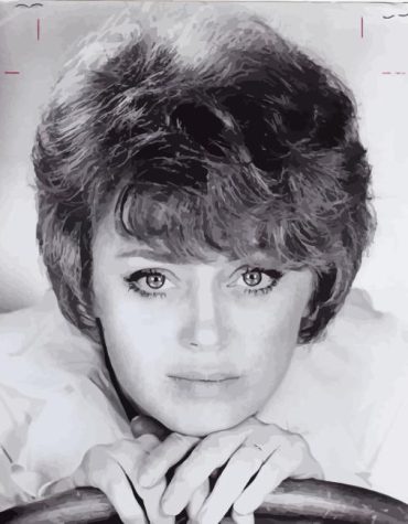 Rue Mcclanahan Legacy Paint By Numbers