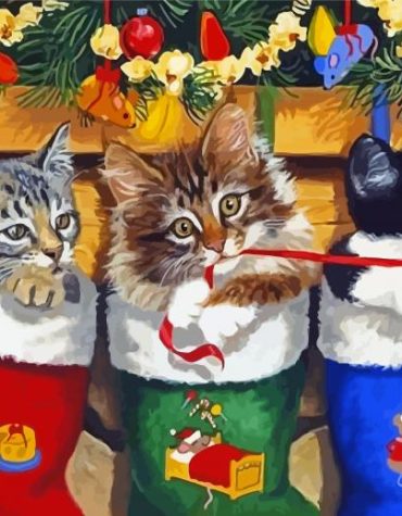 Charming Cats in Socks Paint By Numbers