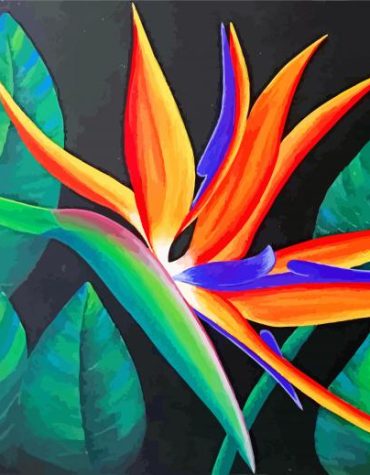 Aesthetic Bird Of Paradise Paint By Numbers