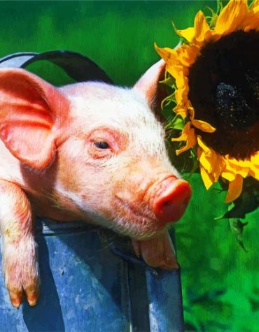 Aesthetic Pig and Sunflowers Paint By Numbers