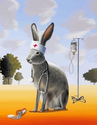 Aesthetic Rabbit Cartoon Paint By Numbers