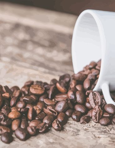 Coffee Bean Patterns Paint By Numbers