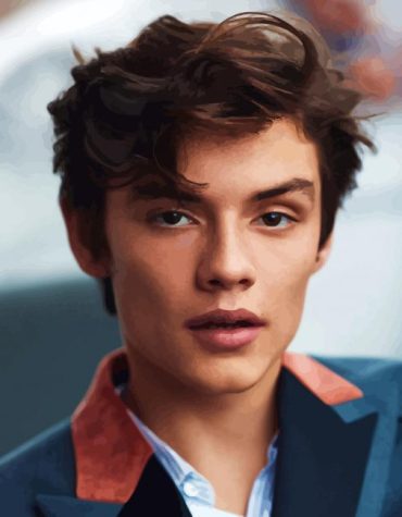 Aesthetic Louis Partridge Paint By Numbers