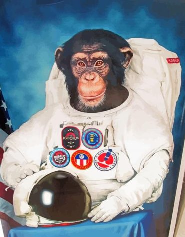 Astronaut Chimp in Space Paint By Numbers