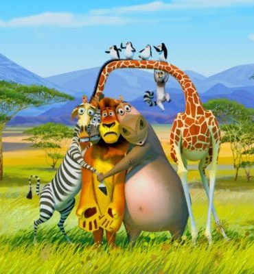 African Wildlife Madagascar Theme Paint By Numbers