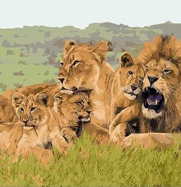 Majestic African Lion Paint By Numbers