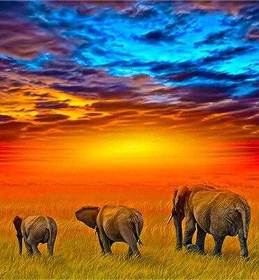 African Elephants at Sunset Paint By Numbers