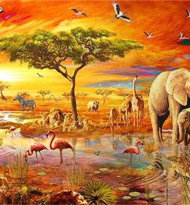 African Safari Wildlife Paint By Numbers