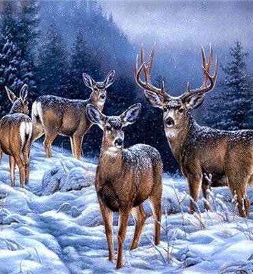 Alaska Deer Snowy Scene Paint By Numbers