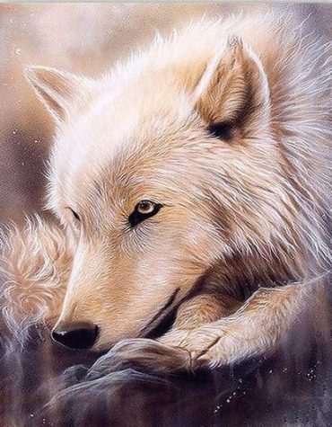 Alaskan Gray Wolf Art Paint By Numbers