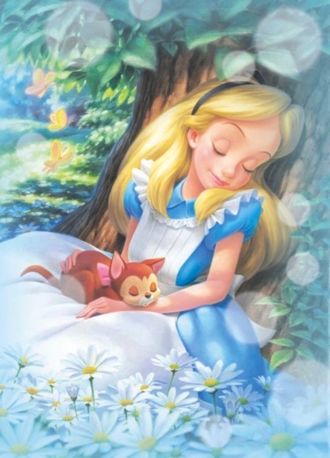 Alice Cartoon Painting Paint By Numbers