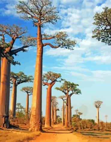 Majestic Baobabs of Madagascar Paint By Numbers