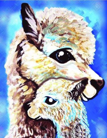 Alpaca Baby Animal Paint By Numbers