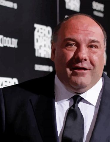 James Gandolfini Movie Legend Paint By Numbers