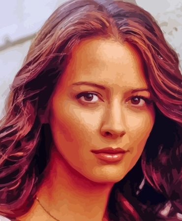 Amy Acker Famous Scenes Paint By Numbers