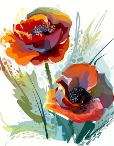 Red Anemone Flower Paint By Numbers