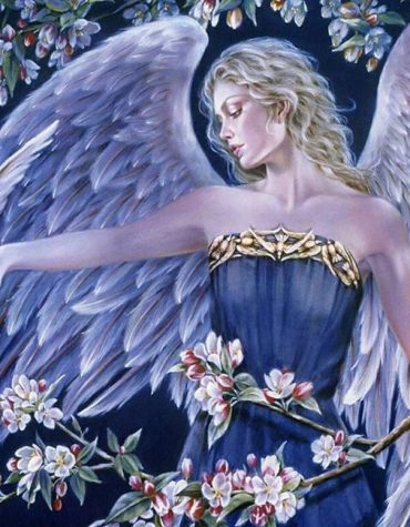 Angelic Birds Paint By Numbers