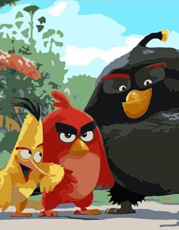 Animated Cartoon Birds Paint By Numbers