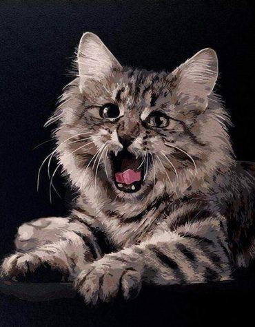 Grumpy Cat Pets Paint By Numbers