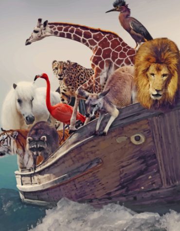 Wildlife on Boats Paint By Numbers