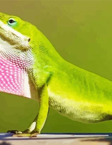 Green Anole Lizard Paint By Numbers