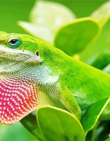 Green Anole Lizard Reptile Paint By Numbers