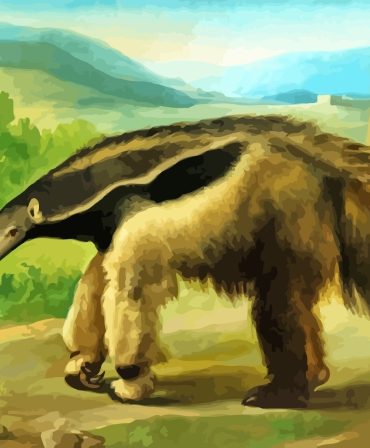 Anteater Animal Art Paint By Numbers