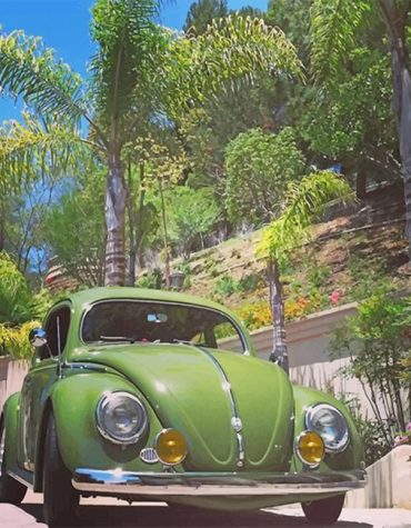 Vintage Green VW Classic Paint By Numbers