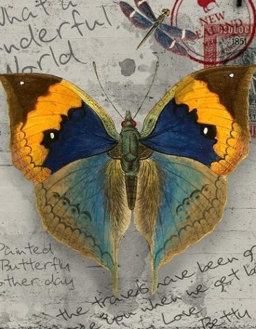 Butterfly Insect Art Paint By Numbers