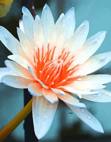 Aquatic Flower Art Paint By Numbers